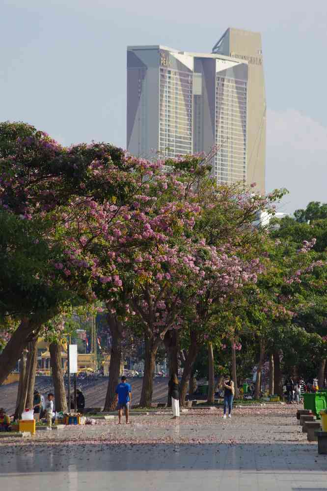 Balade à Phnom Penh (ភ្នំពេញ) en attendant l’heure de mon avion, le 3 février 2023