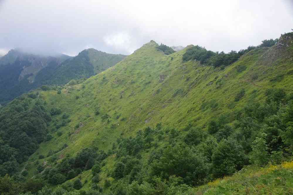 Des pentes raides dès potron-minet ! (16 juillet 2019)