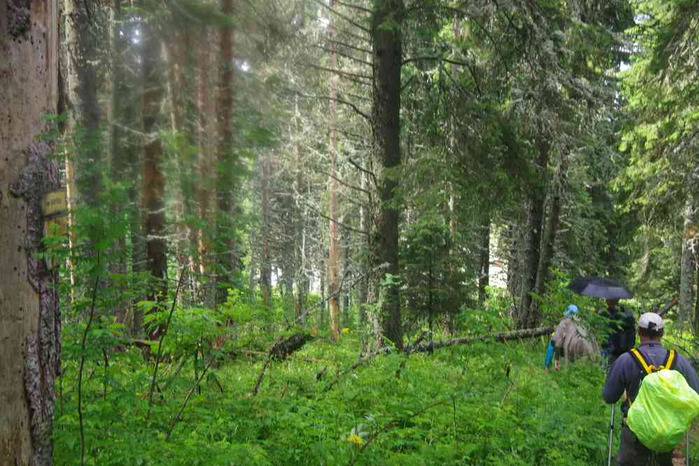 Après deux bonnes heures de marche sous la pluie, le 16 juillet 2019