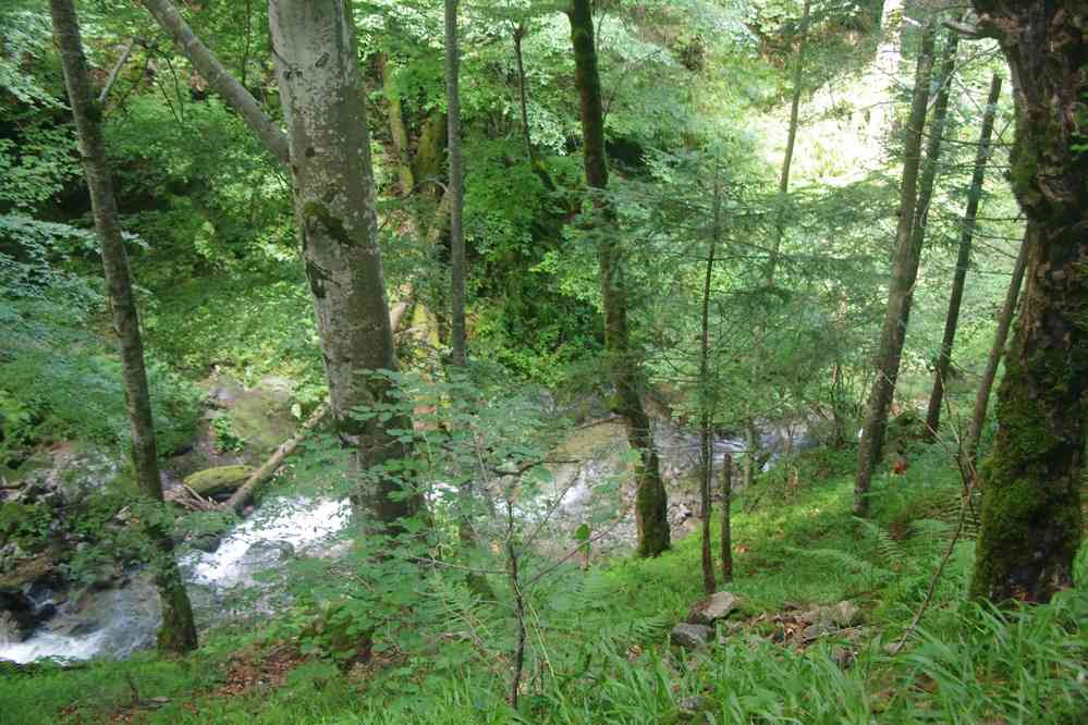 En bas de la très éprouvante descente, le 17 juillet 2019