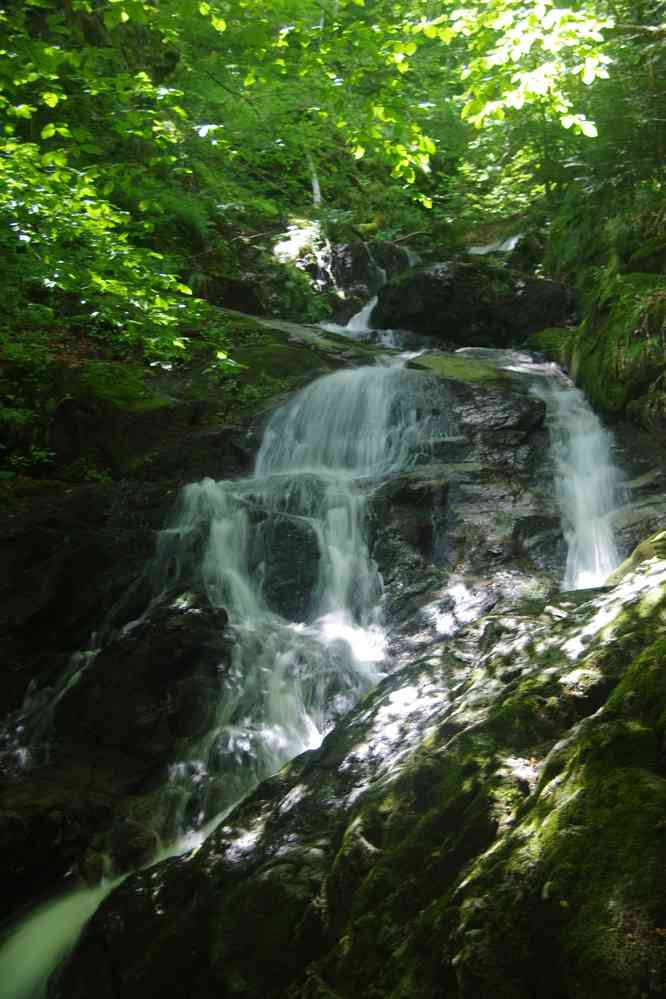 Cascade, le 17 juillet 2019