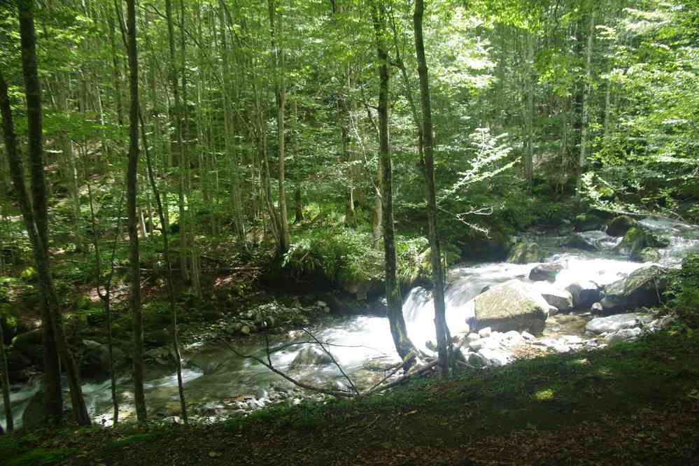 Torrent, le 17 juillet 2019