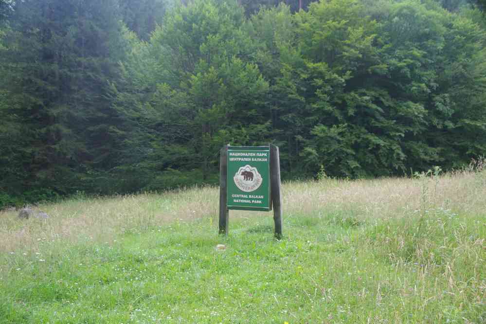 À défaut de voir un vrai..., le 17 juillet 2019