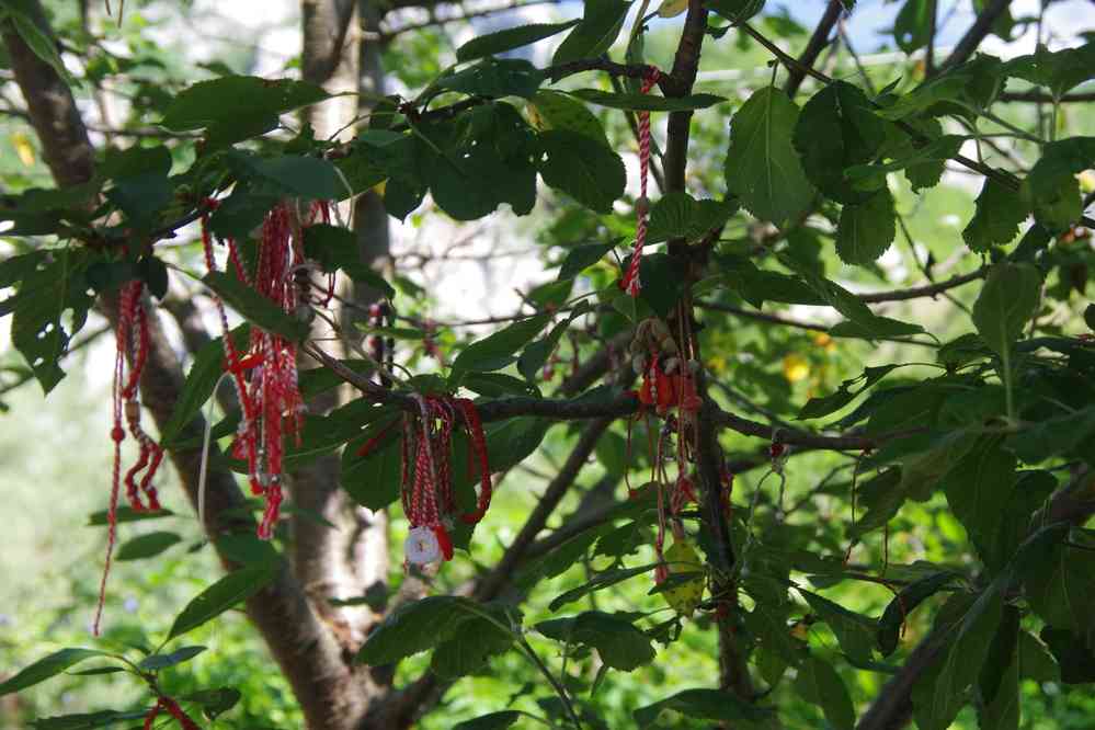 Tradition païenne de la Martenitza (Мартеница), le 18 juillet 2019