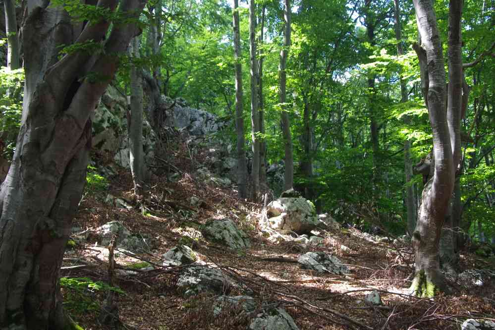 Randonnée dans le parc naturel de Vratchanski Balkan (Природен парк „Врачански Балкан“), le 19 juillet 2019