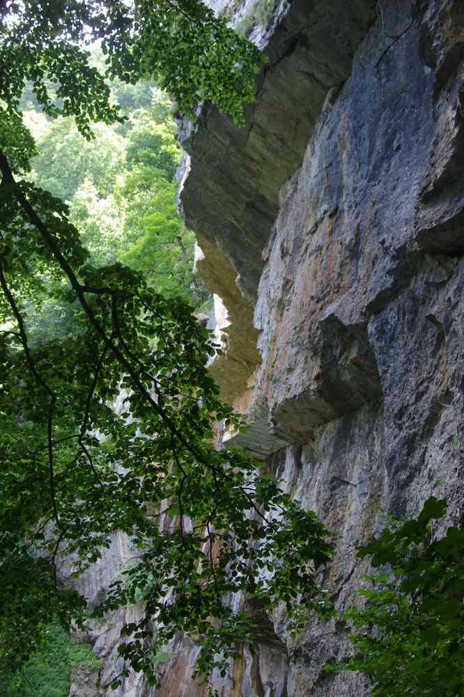 Randonnée dans le parc naturel de Vratchanski Balkan (Природен парк „Врачански Балкан“). Ce n’est quand même pas là qu’on passe..., le 19 juillet 2019