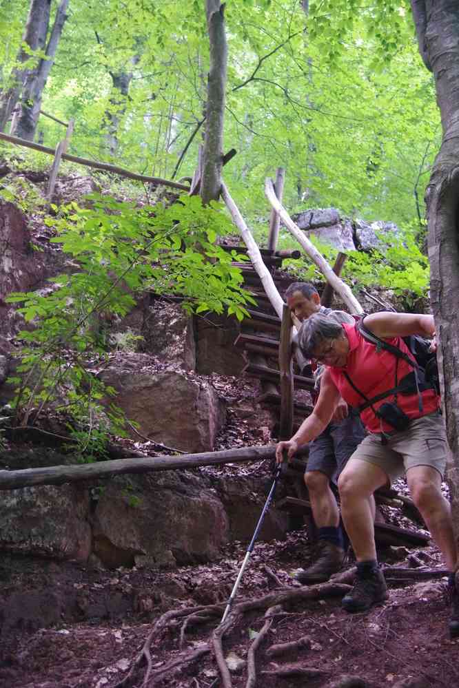 Randonnée dans le parc naturel de Vratchanski Balkan (Природен парк „Врачански Балкан“). Pour ceux qui ont réussi à échapper au Vikhren, la descente la plus chaude du séjour, le 19 juillet 2019