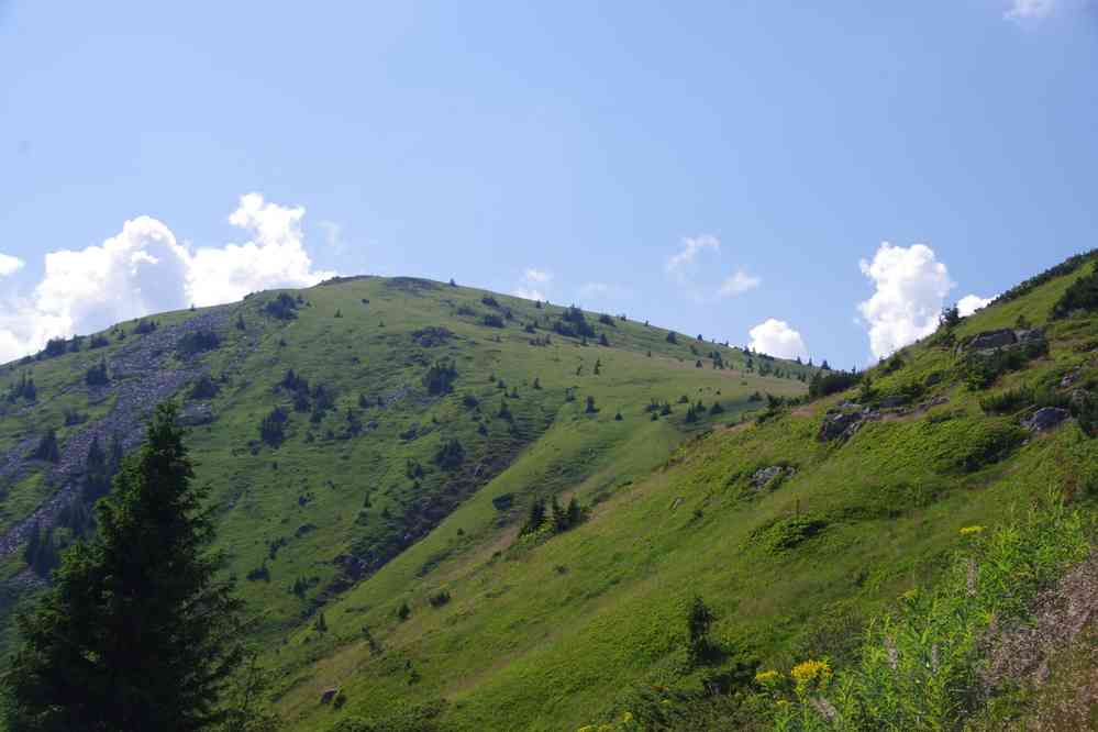 En direction du sommet Kom (връх Ком), le 20 juillet 2019