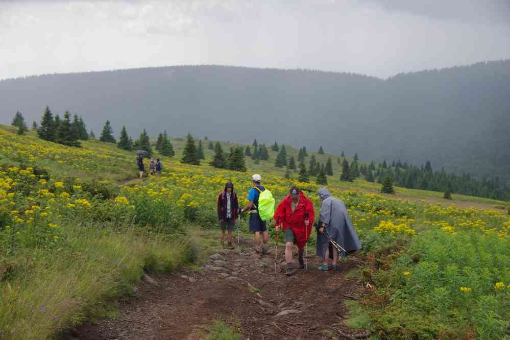 Nous avons passé le stade de la menace (20 juillet 2019)