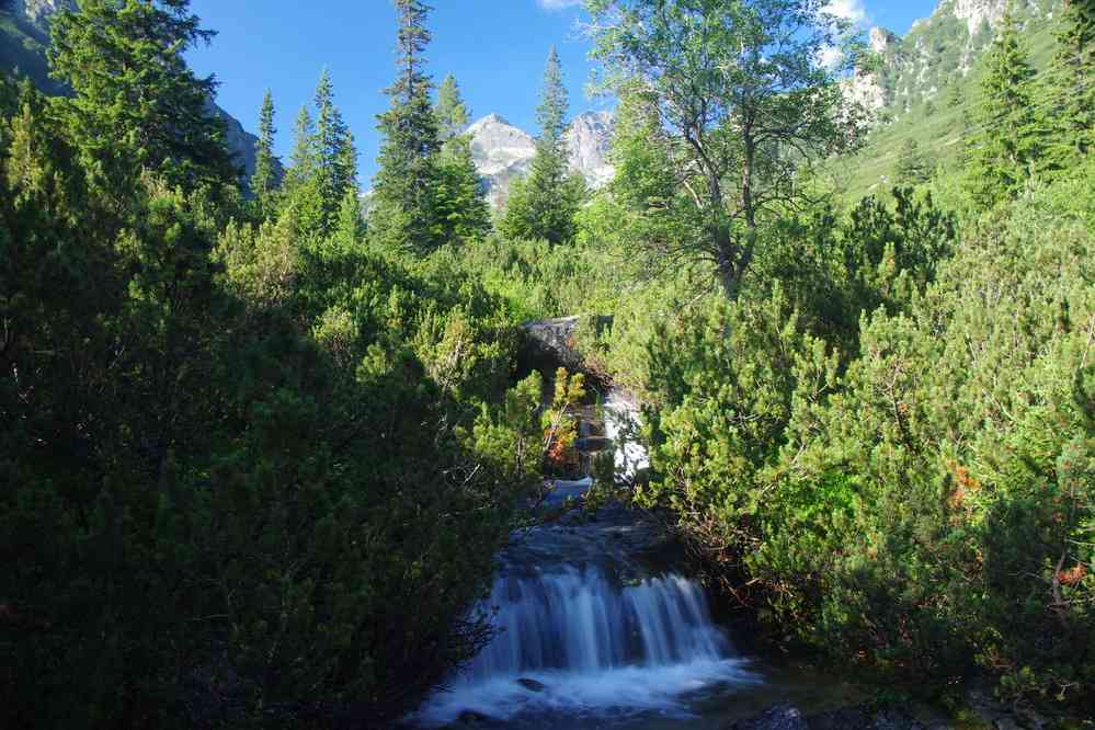 Torrent (certains y ont vu une cascade...), le 21 juillet 2019