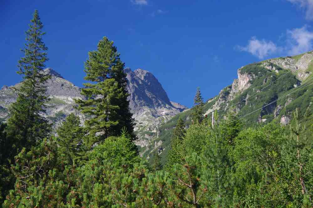 En direction du mont Maliovitza (Мальовица), le 21 juillet 2019