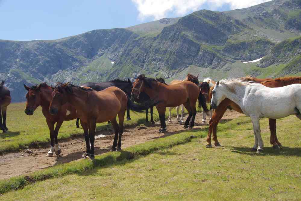 Montée vers les Sept lacs, le 22 juillet 2019