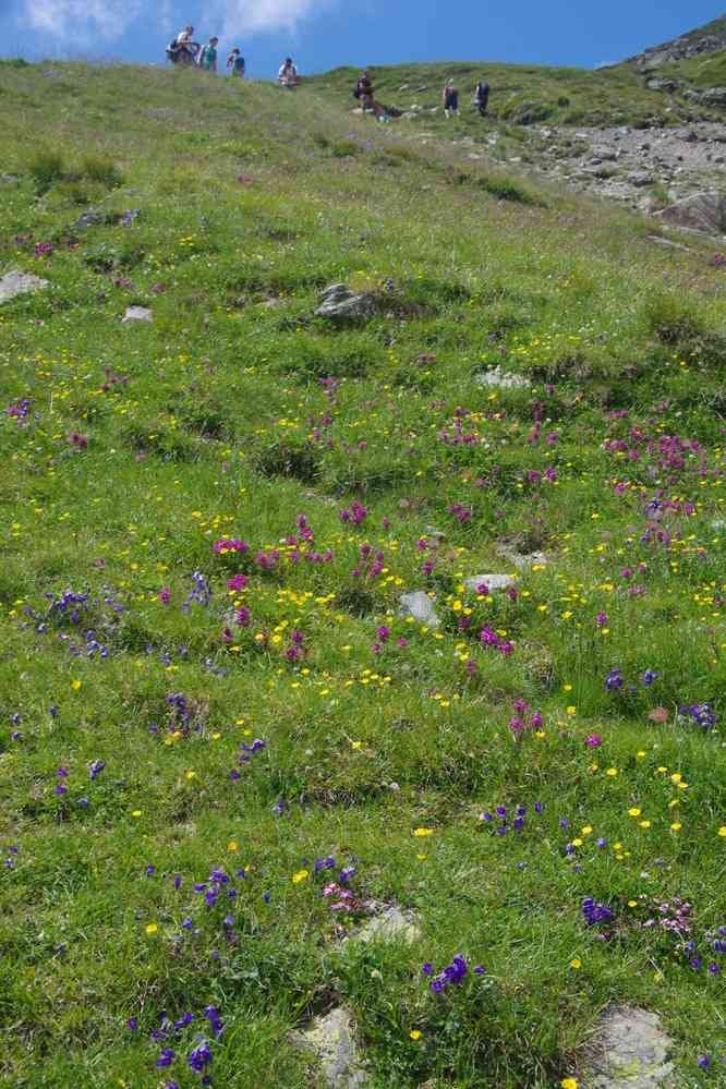 Montée vers les Sept lacs, le 22 juillet 2019