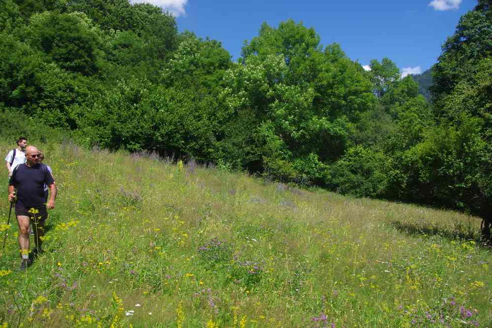 Balade champêtre, le 23 juillet 2019
