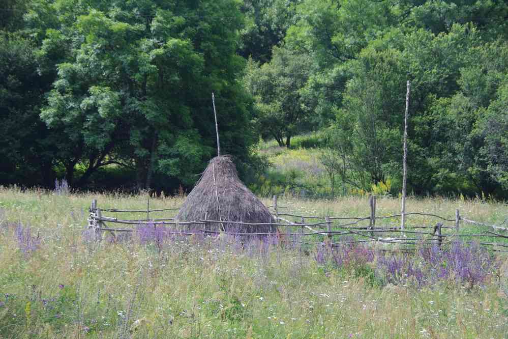 Balade champêtre, le 23 juillet 2019