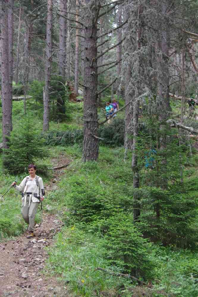 Descente dans la forêt (longue mais pas trop difficile), le 25 juillet 2019