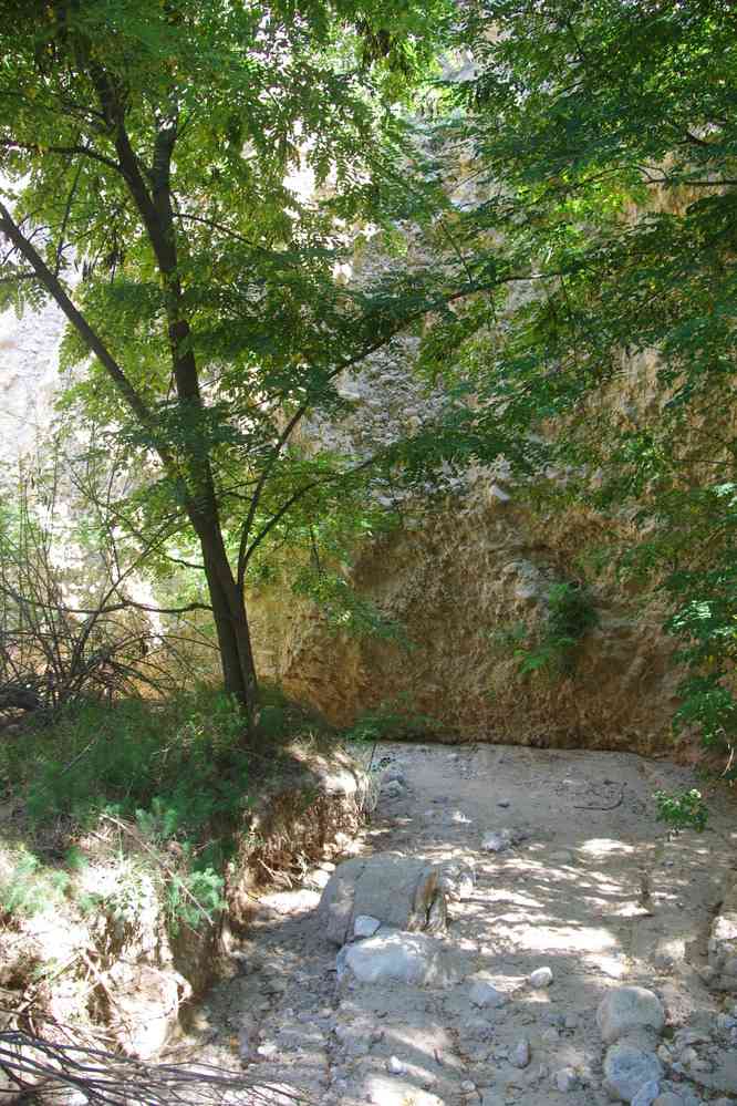 Ruisseau à sec, le 26 juillet 2019