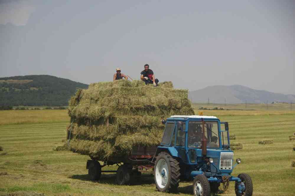 Scène champêtre avant Ninotsminda (ნინოწმინდა Նինոցմինդա). Le bus géorgien se prêtait moins à la prise de vues en roulant..., le 5 août 2017