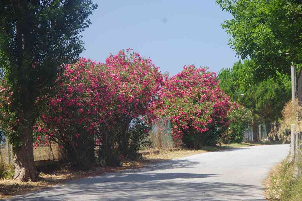 Salina, descente vers Rinella, le 3 août 2020