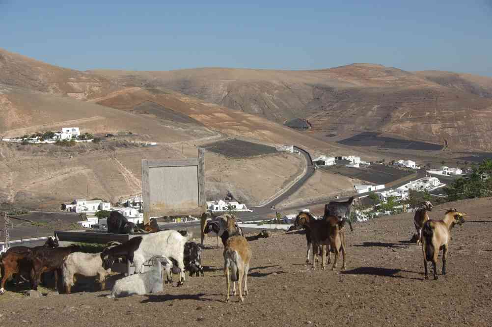 Ferme de fromage de chèvre, le 1ᵉʳ janvier 2014