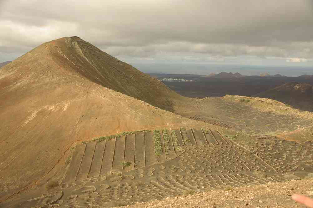 Randonnée dans les vignes de la Geria, le 4 janvier 2014