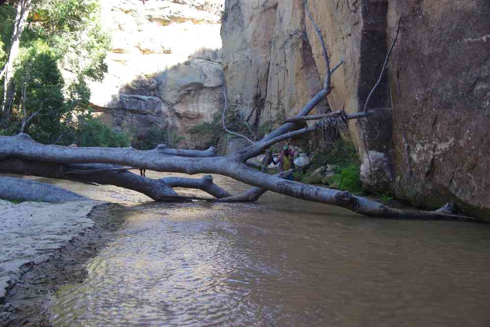 Remontée de la rivière Sakamaly, le 19 juillet 2018