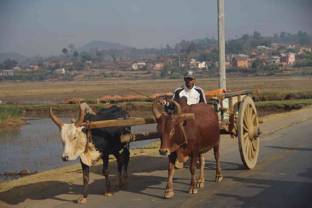 Entre Antsirabé et Betafo (RN 34), le 31 juillet 2018