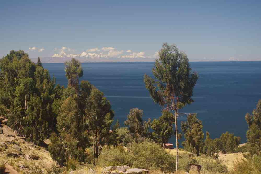 Lac Titicaca, randonnée dans l’île de Taquile, le 7 août 2024. Vue sur la cordillère Royale en Bolivie, nevado Illampu 6368 m et nevado Ancohuma 6427 m
