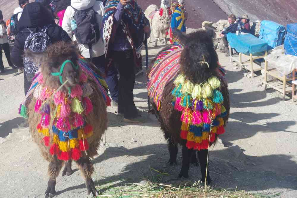 En direction du mont Vinikunka 5036 m, le 9 août 2024