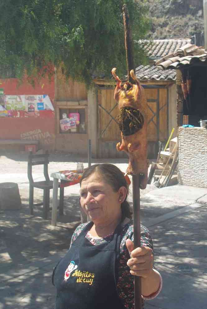 Un cochon d’Inde cuit à la broche, le 13 août 2024. Sur la route vers Urubamba ; photographie prise du véhicule à l’arrêt