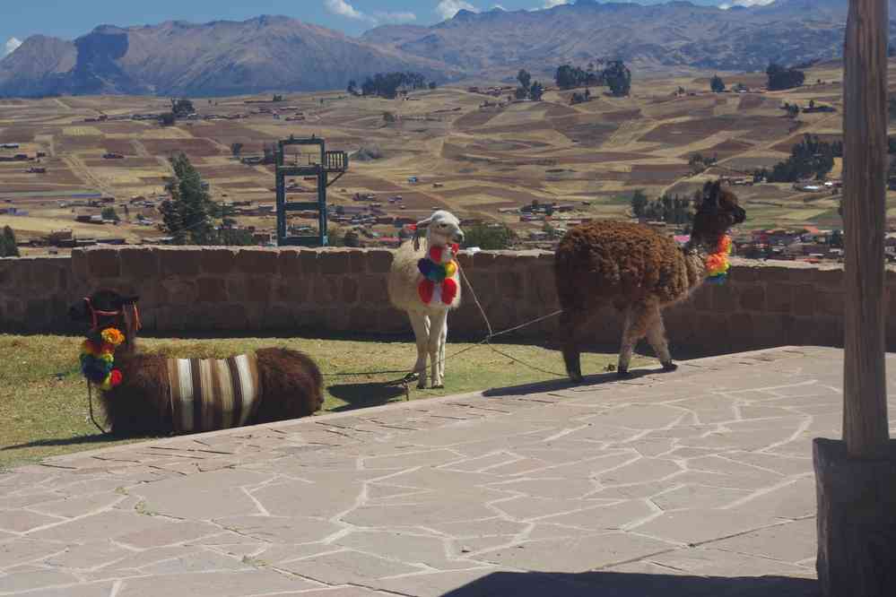 Mirador de Machu Qolqa, le 15 août 2024