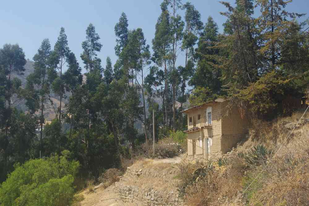 Environs de Huaraz ; randonnée en cordillère Noire, le 17 août 2024