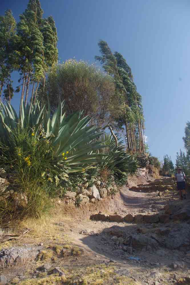Environs de Huaraz ; randonnée en cordillère Noire, le 17 août 2024