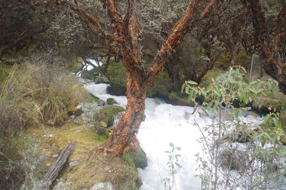 Marche en direction du refuge du Pisco, le 19 août 2024
