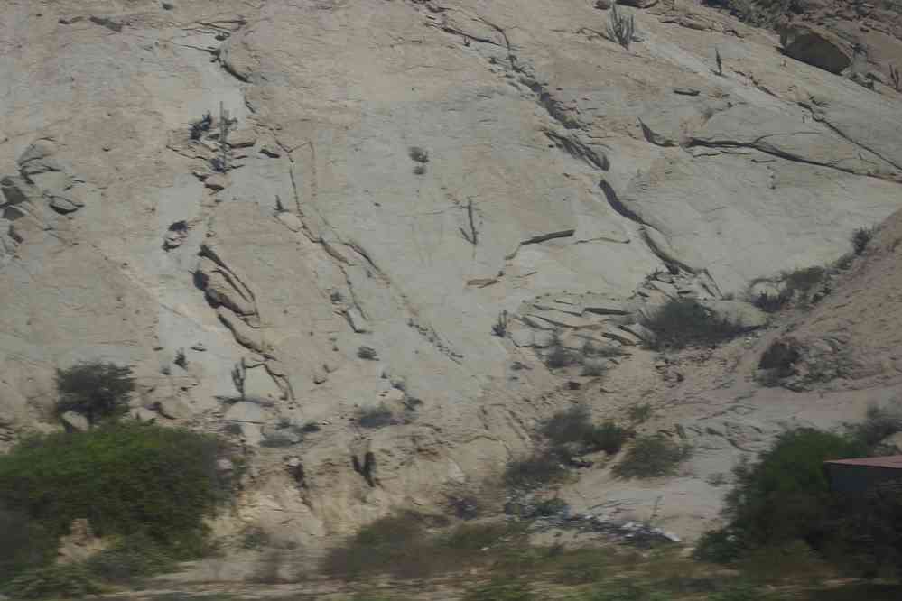 Route entre Huaraz et Lima. Étage des cactus (je n’ai pas pu faire mieux…), le 21 août 2024