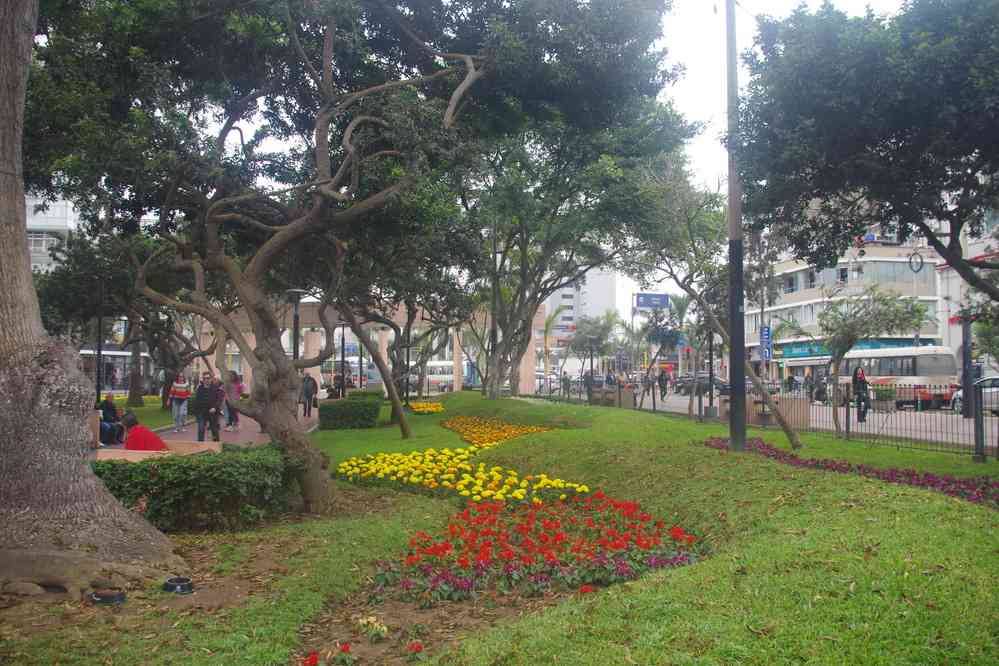 Le parc du 7 juin ou le parc Kennedy à Miraflores, le 22 août 2024