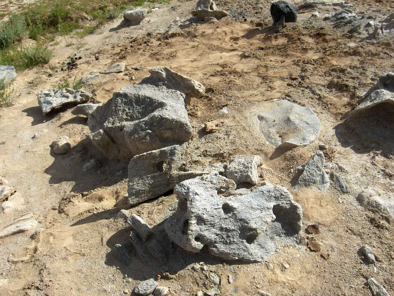 Cailloux près de Langer, le 17 août 2005