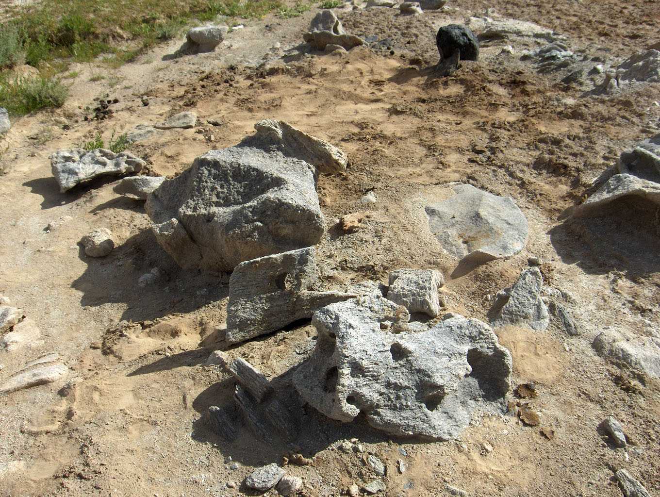 Cailloux près de Langer, le 17 août 2005