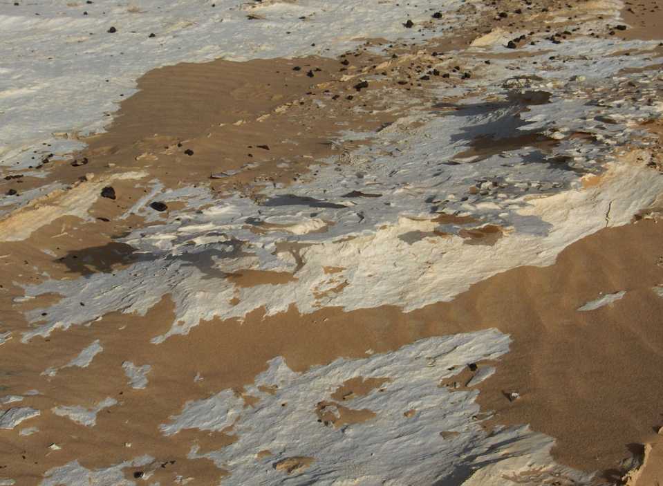 Lamelle de calcaire dans le nouveau désert Blanc, le 16 avril 2005