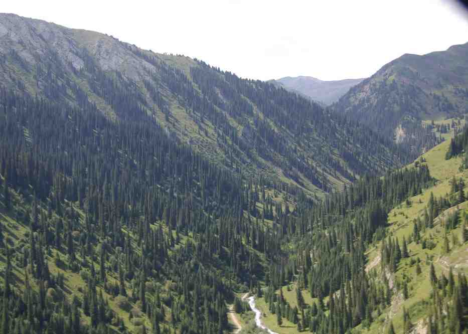 En survolant la rivière Karkara (Қарқара) (vue sur une vallée affluente)