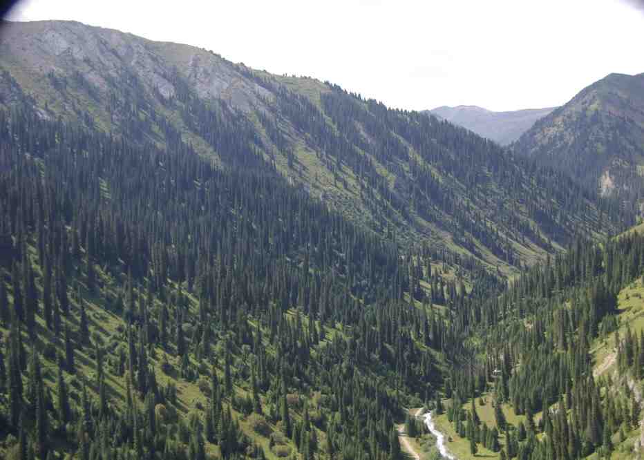 En survolant la rivière Karkara (Қарқара) (vue sur une vallée affluente)