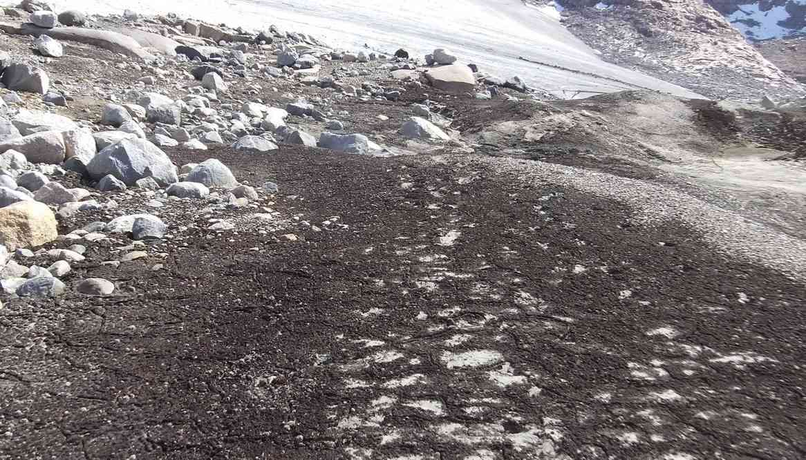 Traces de pas certifiées du groupe de l’année précédente, le 15 juillet 2017