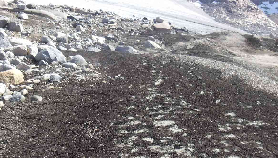 Traces de pas certifiées du groupe de l’année précédente, le 15 juillet 2017