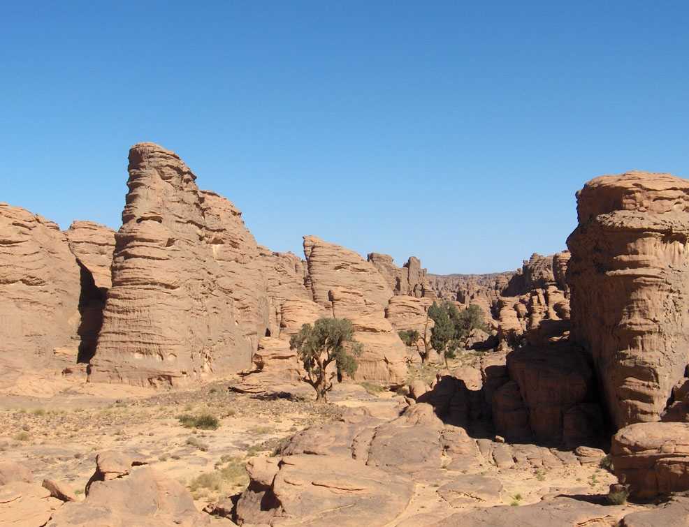 L’oued Tamrit et ses cyprès, le 16 mars 2006