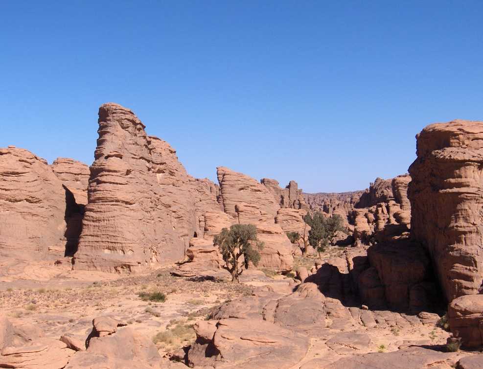 L’oued Tamrit et ses cyprès, le 16 mars 2006