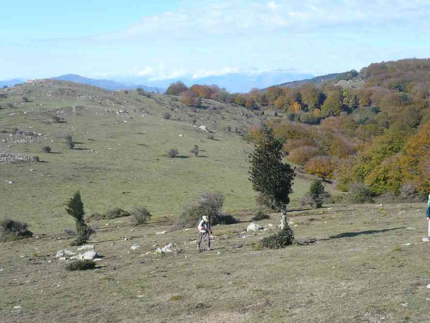 Sur la crête... Le dimanche 30 octobre 2011