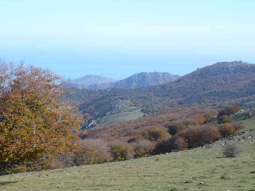 La tour de la Madeloc c’est pour dans deux jours... Le dimanche 30 octobre 2011
