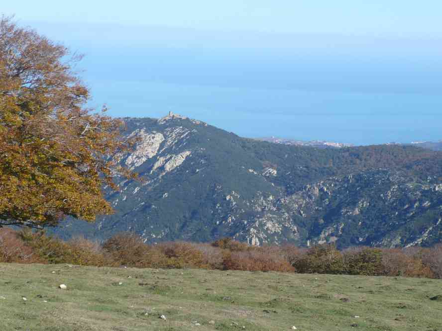Eh non Jacques, nous n’allons pas à la tour de la Massane ! Le dimanche 30 octobre 2011