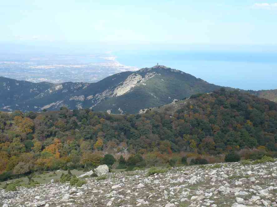 Toujours la tour de la Massane... Le dimanche 30 octobre 2011