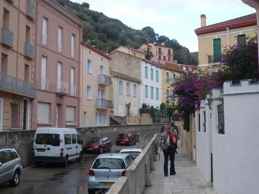 Cerbère. Le lundi 31 octobre 2011